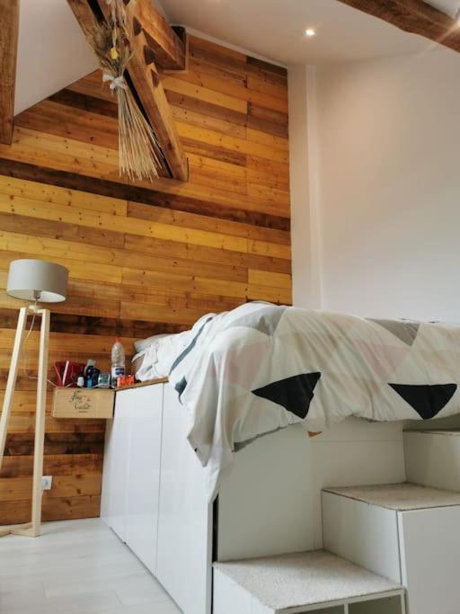 Appartement Calme Proche Du Centre Άννεσι Εξωτερικό φωτογραφία